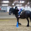 Ponyralley 108